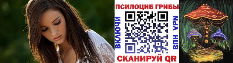 цена наркотик  Котовск  Галлюциногенные грибы прущие грибы 