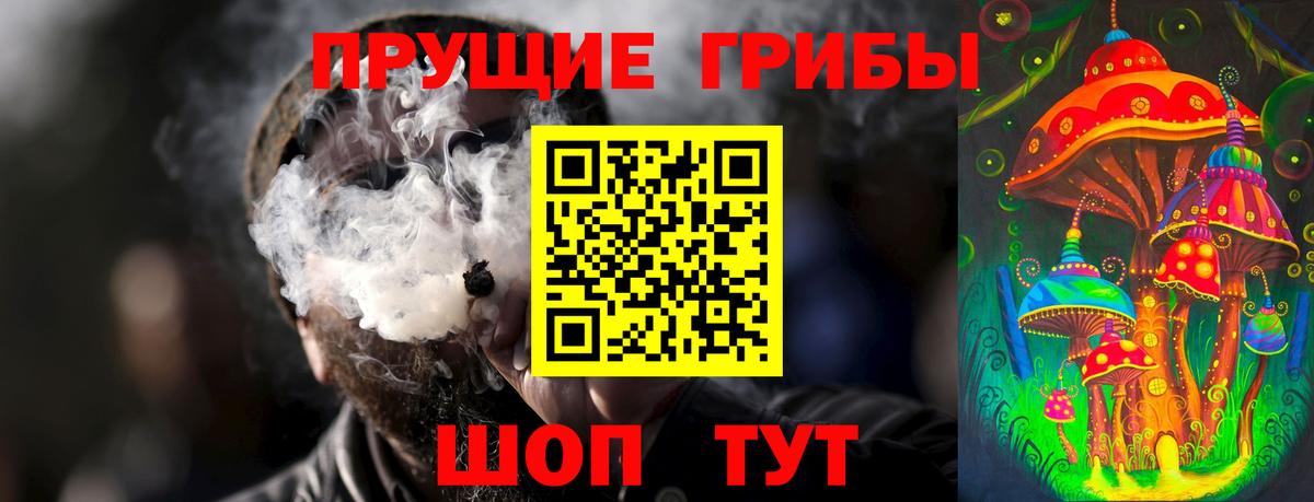 Псилоцибиновые грибы Psilocybe  Галлюциногенные грибы Cubensis  Вход с VPN  Котовск 
