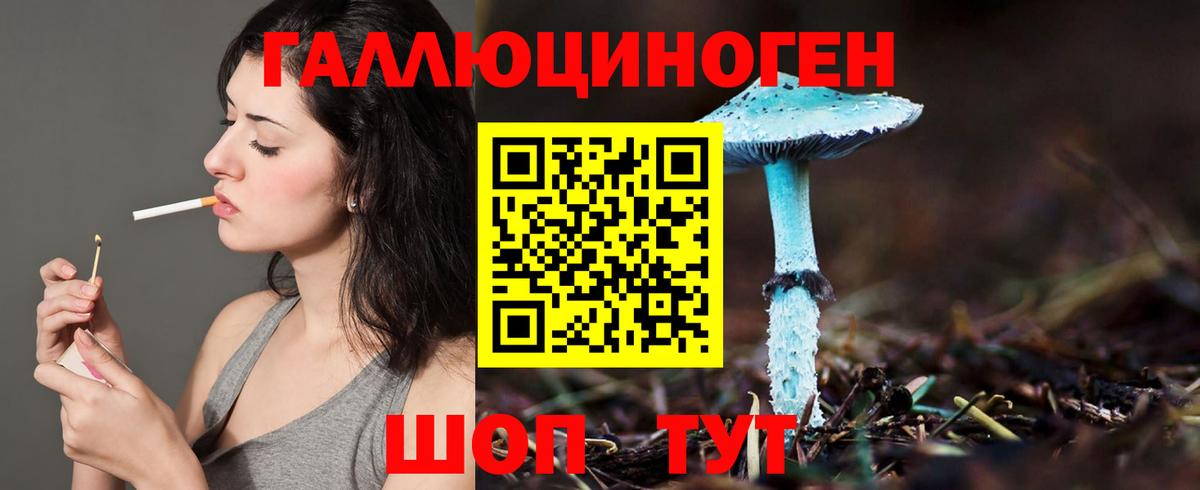 Псилоцибиновые грибы ЛСД Котовск