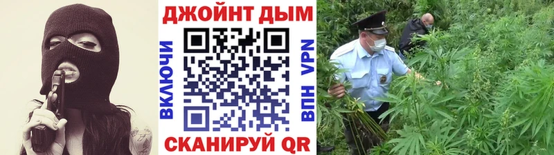 где купить наркоту  Котовск  Канабис MAZAR 